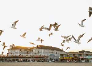 Tourist towns see rising hunger in the off-season