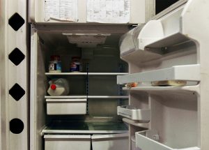 Food stamps, redefined by red states