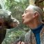 Jane Goodall’s work with chimps changed how we see humanity