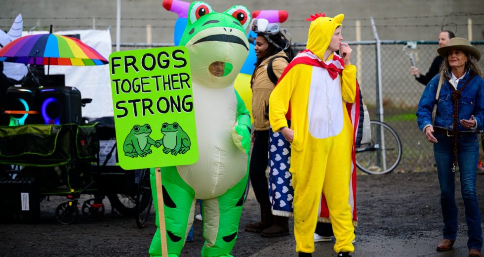 Portland’s protest frogs are dead serious about absurdity