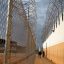 ICE keeps detaining pregnant immigrants against federal policy
