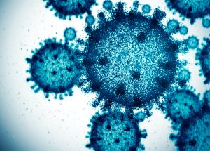 It’s time to make friends with your viruses