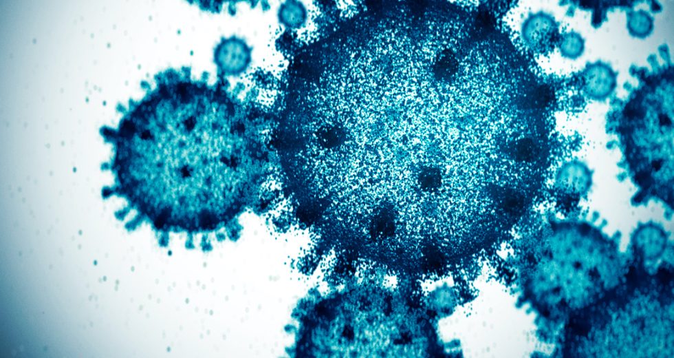 It’s time to make friends with your viruses