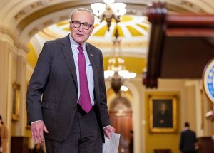 Even establishment Democrats say Chuck Schumer must go