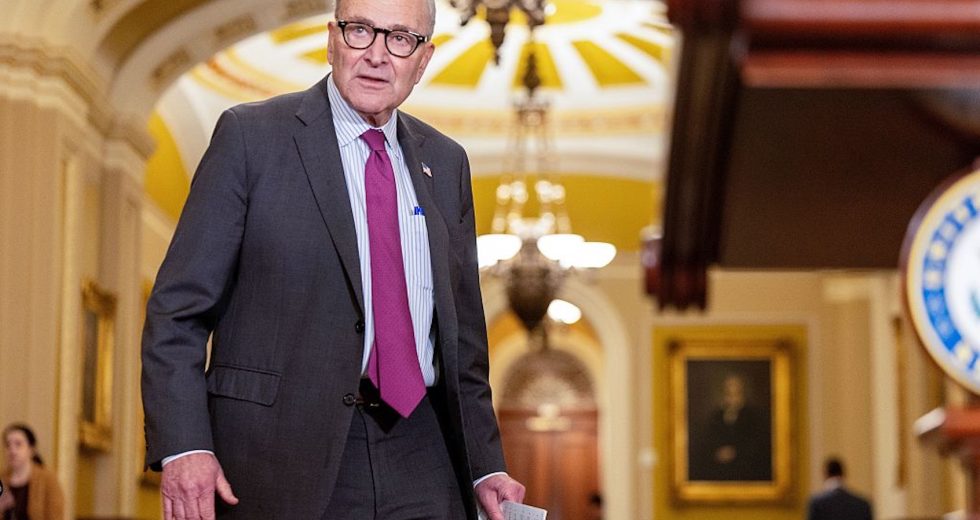 Even establishment Democrats say Chuck Schumer must go