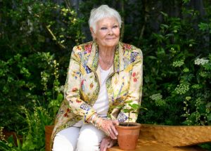 Judi Dench: “I can’t recognize anybody anymore”