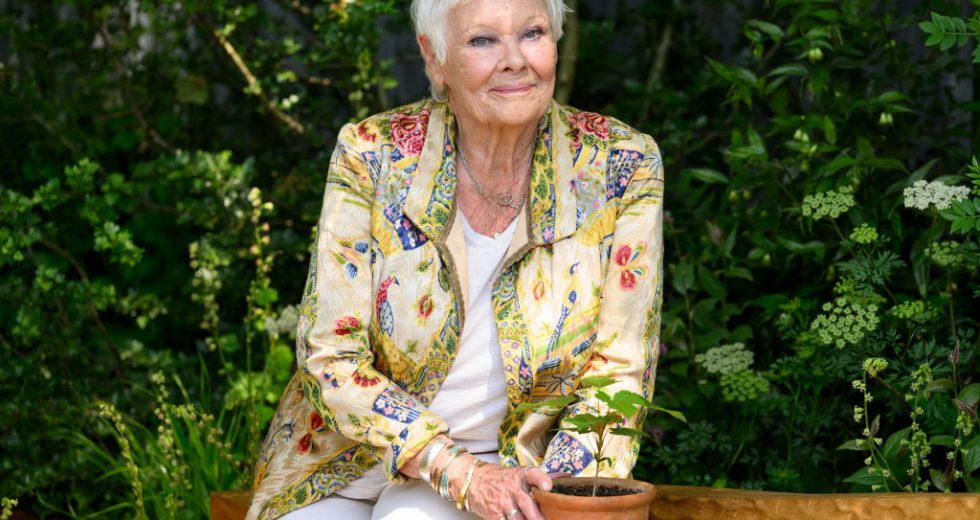Judi Dench: “I can’t recognize anybody anymore”