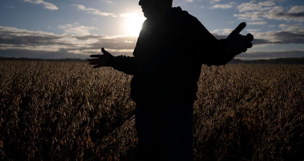 Farmers – long Trump backers – bear the costs of his new policies