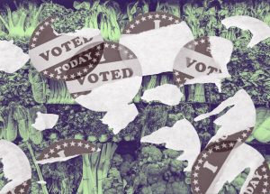 How a loss of public benefits harms democracy