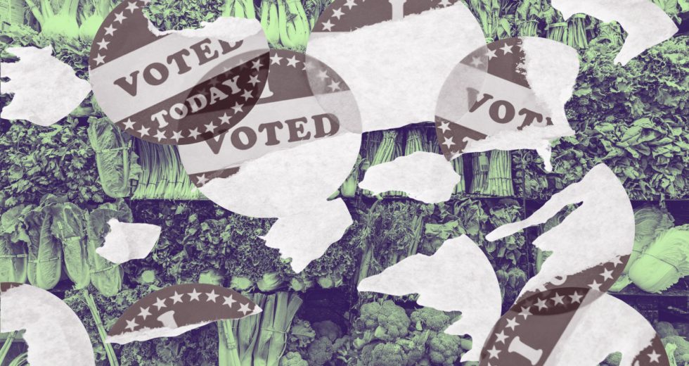 How a loss of public benefits harms democracy