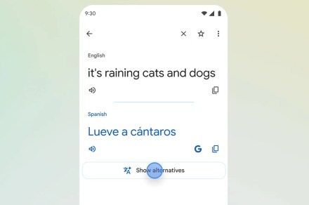 O Google Tradutor pode finalmente decodificar “chovendo cães e gatos”