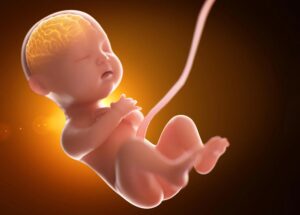 Bebês expostos a muito mais “produtos químicos para sempre” antes do nascimento do que os cientistas imaginavam