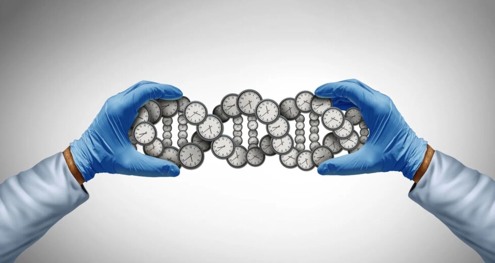 PFAS encontrado na maioria dos americanos está ligado ao rápido envelhecimento biológico