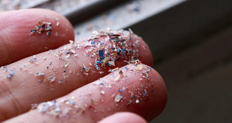 Microplásticos encontrados em 90% dos tumores de câncer de próstata, revela estudo