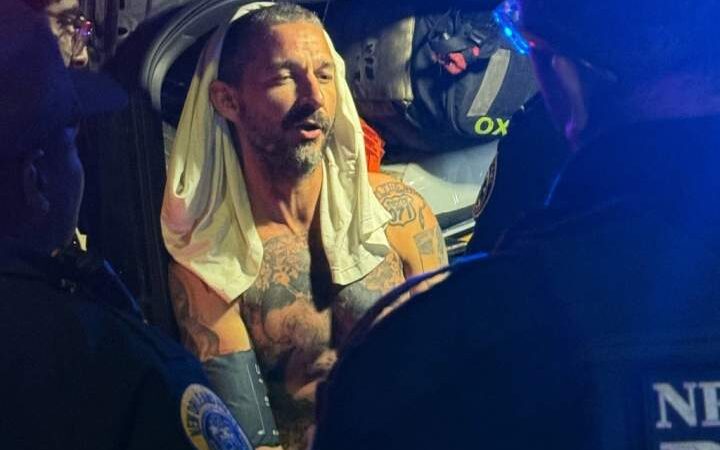 Shia LaBeouf recebeu ordem de ir à reabilitação após luta em Nova Orleans – Nacional