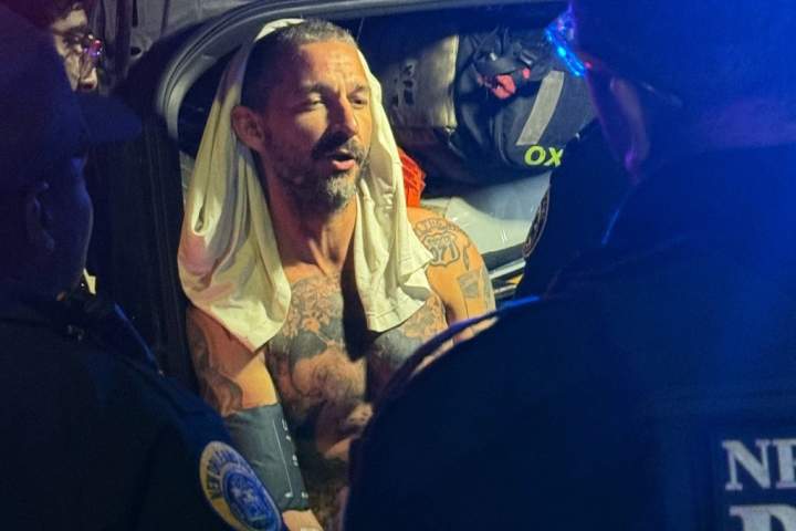 Shia LaBeouf recebeu ordem de ir à reabilitação após luta em Nova Orleans – Nacional