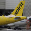 Spirit Airlines deverá sair da falência, Capítulo 11, este ano – National – O Busílis