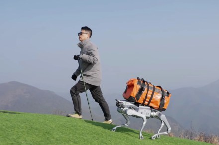 Conheça As2, um cão-robô que funciona com baterias e não com massagens na barriga