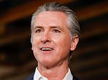 Gavin Newsom torce faca em Kristi Noem com referência atrevida à crueldade contra animais após sua demissão do DHS