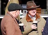Preços incríveis de cerveja no Festival de Cheltenham revelados: Guinness caiu pela primeira vez desde 2022 – e como ela se compara às cervejas premium