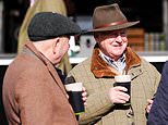 Preços incríveis de cerveja no Festival de Cheltenham revelados: Guinness caiu pela primeira vez desde 2022 – e como ela se compara às cervejas premium