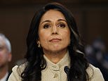 Tulsi Gabbard deixa escapar a bomba nuclear do Irã enquanto o Senado ouve espirais para o chefe da espionagem de Trump