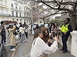 Agora, os proprietários de casas de Notting Hill estão contratando SECURITY para tentar controlar os influenciadores que estão lotando suas ruas para tirar fotos com flores de cerejeira em flor.