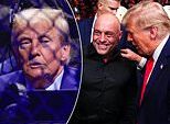 Joe Rogan critica ‘truque’ na noite de luta do UFC na Casa Branca, mas diz que estará lá para a reunião de Donald Trump
