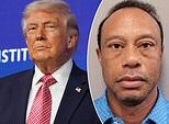 Manifestante anti-Trump faz piada cruel de Tiger Woods na marcha ‘No Kings’ após prisão e acidente de carro do ícone do golfe por dirigir alcoolizado