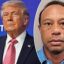Manifestante anti-Trump faz piada cruel de Tiger Woods na marcha ‘No Kings’ após prisão e acidente de carro do ícone do golfe por dirigir alcoolizado