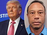 Manifestante anti-Trump faz piada cruel de Tiger Woods na marcha ‘No Kings’ após prisão e acidente de carro do ícone do golfe por dirigir alcoolizado