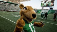 Saskatchewan Roughriders procuram alguém que seja enérgico, que queira se vestir como um roedor