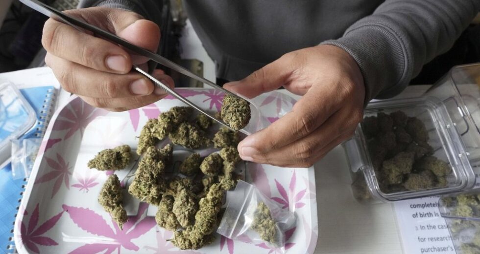 Caso do homem Mi’kmaq enfrentando acusações de maconha passa para contestação constitucional em NS – Halifax