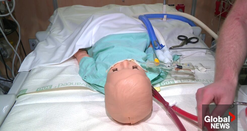 O programa de ECMO que salva vidas do Stollery Children’s Hospital recebe reconhecimento internacional