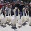 Desfile popular de cisnes em Stratford, Ont. cancelado para ‘reduzir o estresse’ nas aves