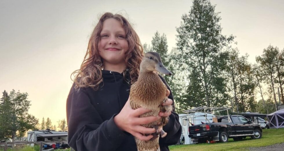 Maya Gebala, vítima de tiroteio em Tumbler Ridge, sofre revés na cirurgia