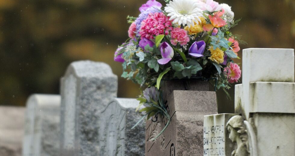 Potencial show de luzes no maior cemitério do Canadá causa polêmica – Montreal