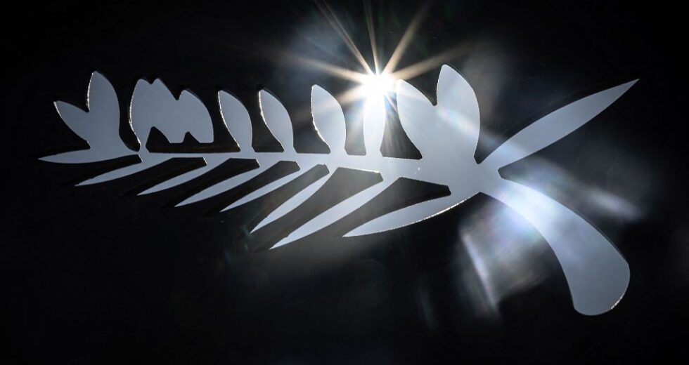 Cannes marca data para anúncio da seleção oficial de 2026