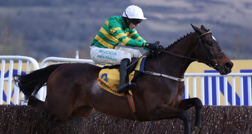 Cheltenham Festival 2026: dicas de apostas do dia 3, cartão de corrida e probabilidades mais recentes