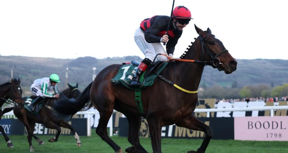 Cheltenham Festival AO VIVO: Últimos resultados e dicas como Fact To File tem como alvo a defesa do Ryanair Chase