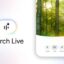 O Google expande o Search Live globalmente com IA de voz e câmera