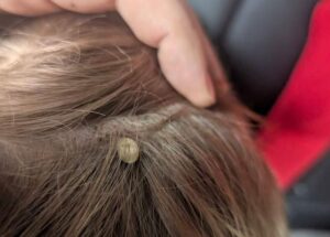 O pai de Merritt avisa outras pessoas após emergência médica envolvendo seu filho – Okanagan