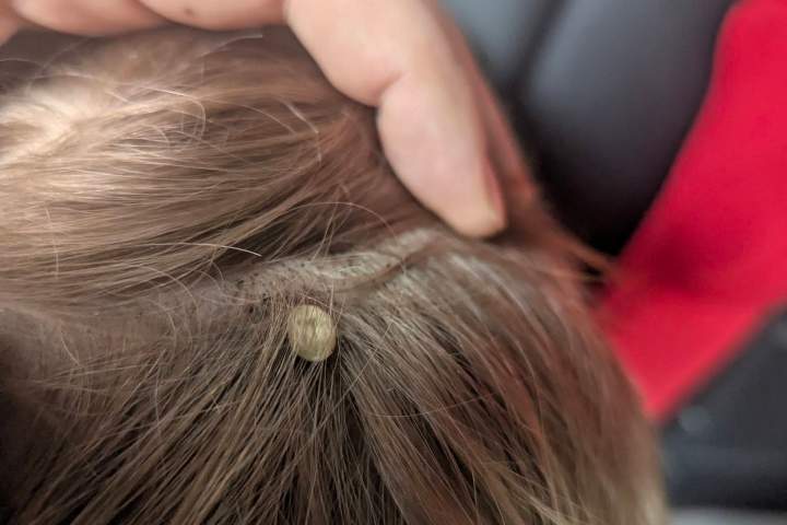 O pai de Merritt avisa outras pessoas após emergência médica envolvendo seu filho – Okanagan