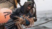 Estrela de ‘Deadliest Catch’ sofreu concussão em barco semanas antes de morrer