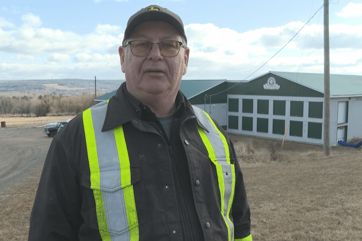 Proprietários de gado de New Brunswick se preocupam com a decisão da província de encerrar os serviços veterinários – New Brunswick