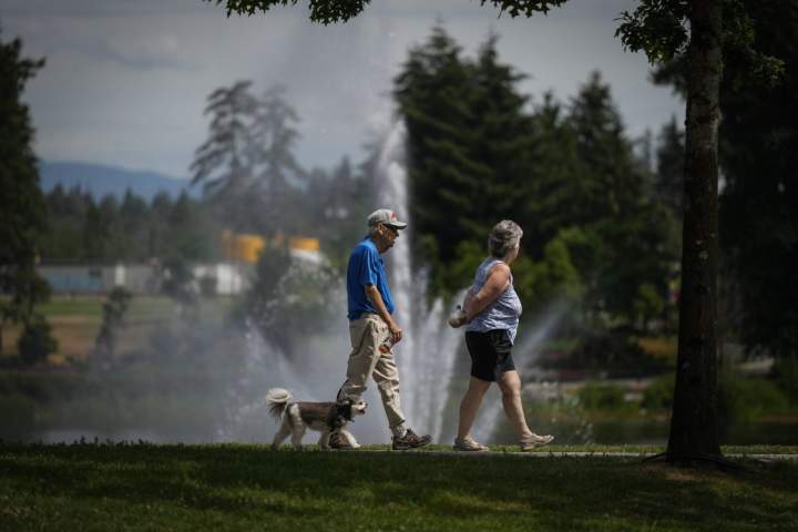 Cortar a OEA para idosos de renda mais alta? 73% dizem que sim, sugere nova pesquisa – Nacional