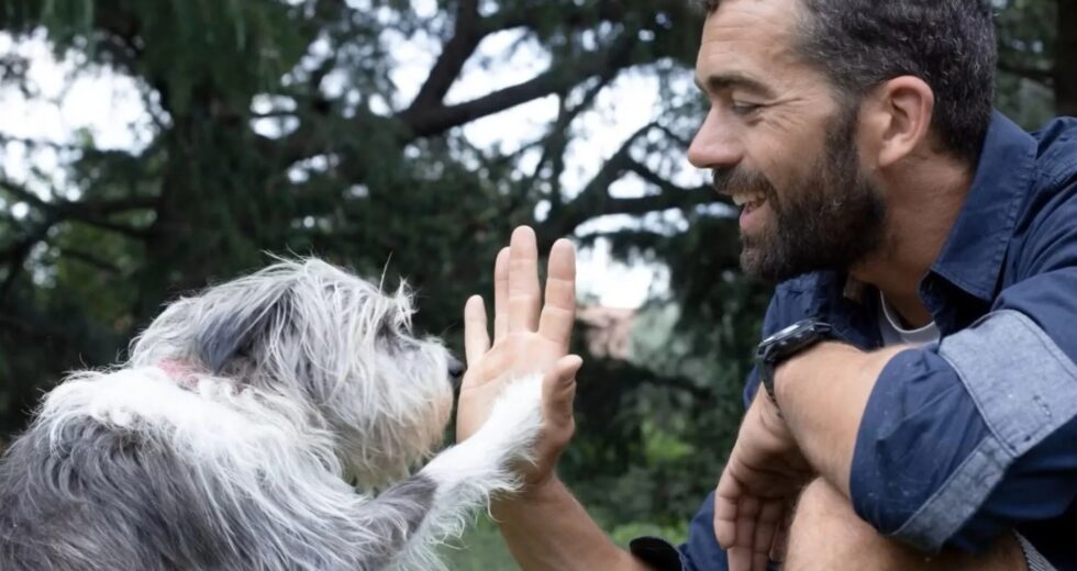 Em um mar de resíduos e riscos, a IA está ajudando humanos perturbados a encontrar seus animais de estimação perdidos