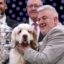 Adestrador de cães campeão de Crufts já foi condenado por crueldade contra animais | Notícias do Reino Unido