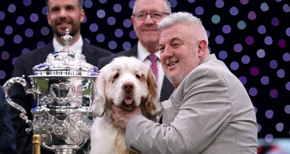 Adestrador de cães campeão de Crufts já foi condenado por crueldade contra animais | Notícias do Reino Unido