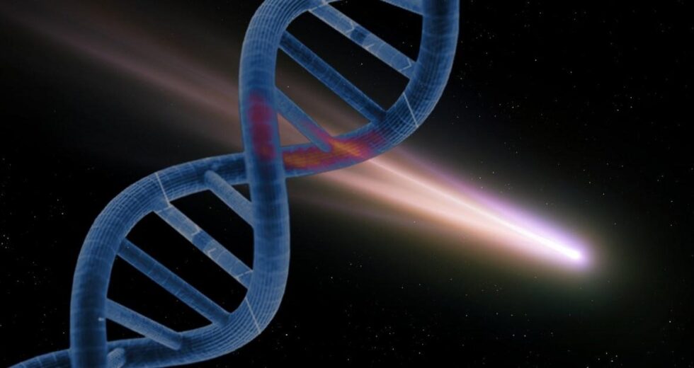 Asteróide contendo o que é necessário para produzir DNA está em nosso sistema solar | Tecnologia de notícias
